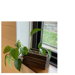 Self Watering Rectangle Rustic Crate Planter 7.9in x 4.4in x 4in Great Gift Idea