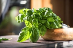 Basil Infused Extra Virgin Olive Oil Bulk 1 Gallon / 3.8 Liters / 128oz -Food Se