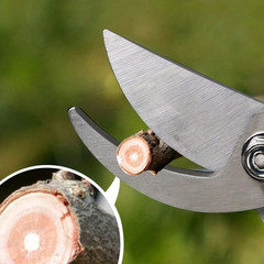 Pruning Shears Sharp Stainless Steel Garden Shears Bypass Garden Scissors Blades