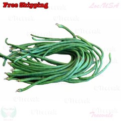 DARK GREEN Yardlong Bean, Asparagus Bean, Snake Bean, Chinese Long Bean Seeds