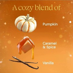 Glade PlugIn Refills Air Freshener Pumpkin & Ginger Scented Oil 5 Count