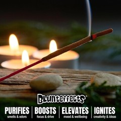 20x Assorted Scents Blunt Effects Incense 20 PACKS 11″ stick – 12 sticks /pack