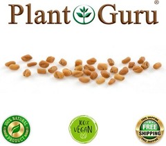 Fenugreek Seeds Non-GMO Trigonella Foenum Graecum Whole Methi Seed Bulk