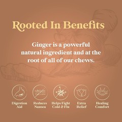 Chimes Orange Ginger Chews, 16 Ounce (Pack of 1) 16