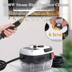 2500W Handheld Car Detailing Cleaning Machine High Temp Steam Cleaner Household