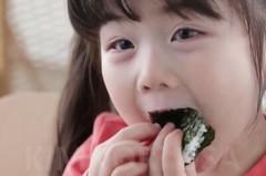 36 Packs Organic Kimnori Seasoned Roasted Seaweed Snacks – Sea Salt Kim Nori