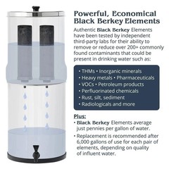 2 Combo, Authentic Black Berkey Filters, PF-2 Fluoride Water purifiers & filters