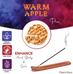 WARM APPLE PIE Incense Sticks 7″ Bulk Pack Wholesale Hand Dipped Lot