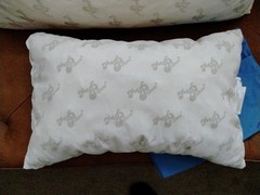 My Pillow Set of 2 (never used)