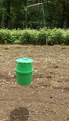 Squash Pumpkin Vine Borer Trap with Lure