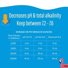 Poolife pH Minus 6 lb (Bag)