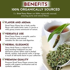 Organic Way Dried Tansy Flower Herb Tea | Origin – Albania (1/4lb 4Oz)