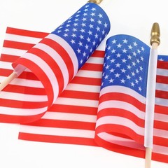 Preboun 400 PCS American Flag Bulk, 8 x 12 Inches Small US on Stick Flags Bulk M