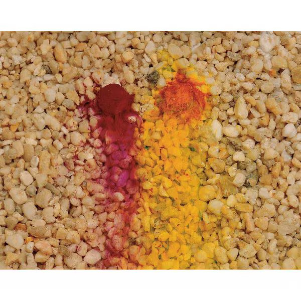 Bright Dyes Dye Tracer Liquid,Yellow/Green,1 Pint 106001-01P 9’S Bright Dyes
