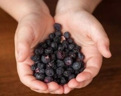 4 Packs Trader Joe’s Freeze Dried Blueberries Unsweetened Unsulfured 1.2 oz Each