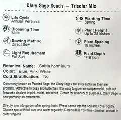 Clary Sage TRICOLOR MIX Salvia Painted Sage Native Wildflower Non-GMO 200 Seeds