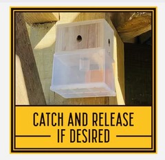 New Bees ‘N Things Outdoor Carpenter Bee Traps – Lot of 4