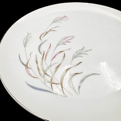 Norcrest AUTUMN BREEZE 10.25” Dinner Plates SET/4 Porcelain Silver Rim VTG Japan