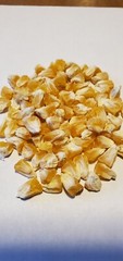 1/4 Pound ( 800 Seed) “Incredible” Variety Sweet Corn Seeds Untreated Non GMO