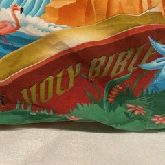 MyPillow Children’s (My Pillow & Pillowcase) Creation Story 12″ X18″ Made In USA
