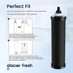 2 Combo, Authentic Black Berkey Filters, PF-2 Fluoride Water purifiers & filters