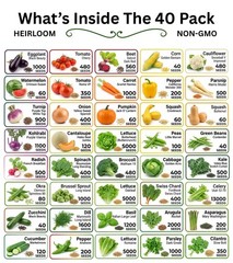 20-50 Variety Heirloom Vegetable Herb Seeds Kit 10000-50000 Bulk Garden Seed Lot