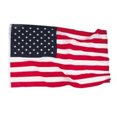 Annin Flagmakers United States Nyl-Glo (Nylon) Flag, All Sizes Made in the USA