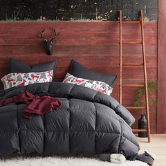 The Company Store LaCrosse Premium Down Light Warmth Comforter Queen/King