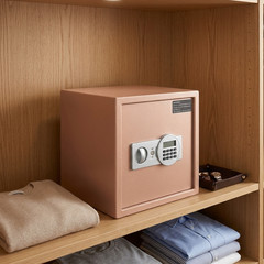 1.5 Cu Ft Digital Safe Box for Home Office Jewelry Cash Alarm 2 Bags Multi-Color
