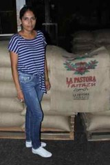 TANZANIA PEABERRY COFFEE BEANS MEDIUM ROASTED 2 OR 5 POUNDS IN 1 POUND BAGS