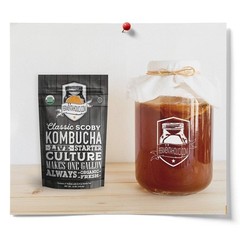 Fermentaholics Organic Kombucha SCOBY with Twelve Ounces of Starter Tea