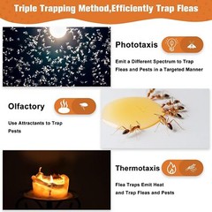 Flea Traps for Inside Your Home with 2 Sticky Disc & 2 Bulbs & 1 Electric Wires