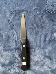 Wusthof Gourmet Paring Knife 4022/8cm/3 inch Solingen Germany Pre-owned