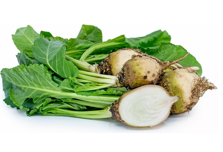 White Albino Beets 50 – 300 – 2 Oz Seeds Super Sweet no stain! NON-GMO
