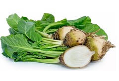 White Albino Beets 50 – 300 – 2 Oz Seeds Super Sweet no stain! NON-GMO