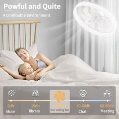 20″ Modern Fan Lights Flush Mount LED Ceiling Light kit With Remote APP Control
