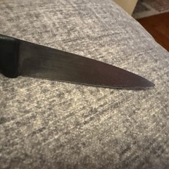 Wusthof Gourmet Pairing Knife 4022 8cm