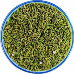 Mukhwas | Mouth Freshner | After Meal | Choclate Mukhwas |Saunf Fennel Mukhwas