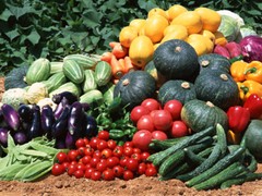 Vegetable Seed Lot $1.99 each 121 Heirloom Varieties For GARDEN/STORAGE non gmo