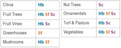 50 Million Beneficial Nematodes SF – Targets Fungus Gnats, Root Aphids & More