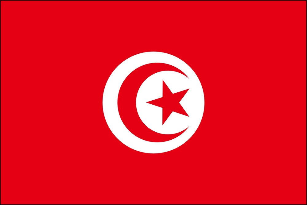 Tunisia Flag Vinyl Decal / Sticker ** 5 Sizes **