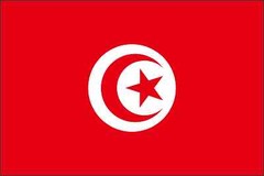 Tunisia Flag Vinyl Decal / Sticker ** 5 Sizes **