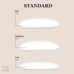 Purple Harmony Pillow – The Greatest Ever – Standard Size, Low / Medium / Tall