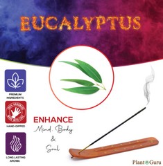 EUCALYPTUS Incense Sticks 11″ Bulk Pack Wholesale Hand Dipped Lot