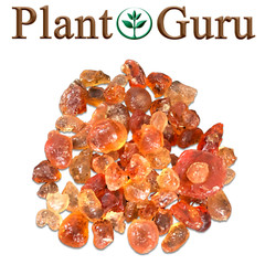 Gum Arabic Resin Incense – 100% Pure & Natural Hashab Acacia Wicca Pagan Bulk