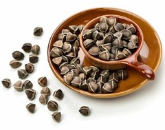 1000 Moringa Oleifera Seeds 10oz WINGLESS Fresh Organic Semillas de Moringa Tree
