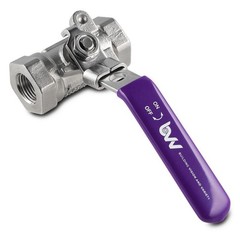 BVV 316SS FNPT Full Bore Ball Valve -40F to 450F