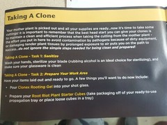 Clonex Gel 100ml Rooting Compound Clone Cutting 100ml. NEW FRESH BATCH