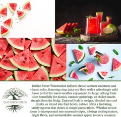 Jubilee Sweet Watermelon Seeds Citrullus lanatus – 50+ Non GMO & Heirloom See…