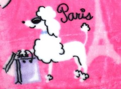 NEW Betsey Johnson 50″x70″ Soft Throw Blanket Poodle Flowers Paris Eiffel Tower